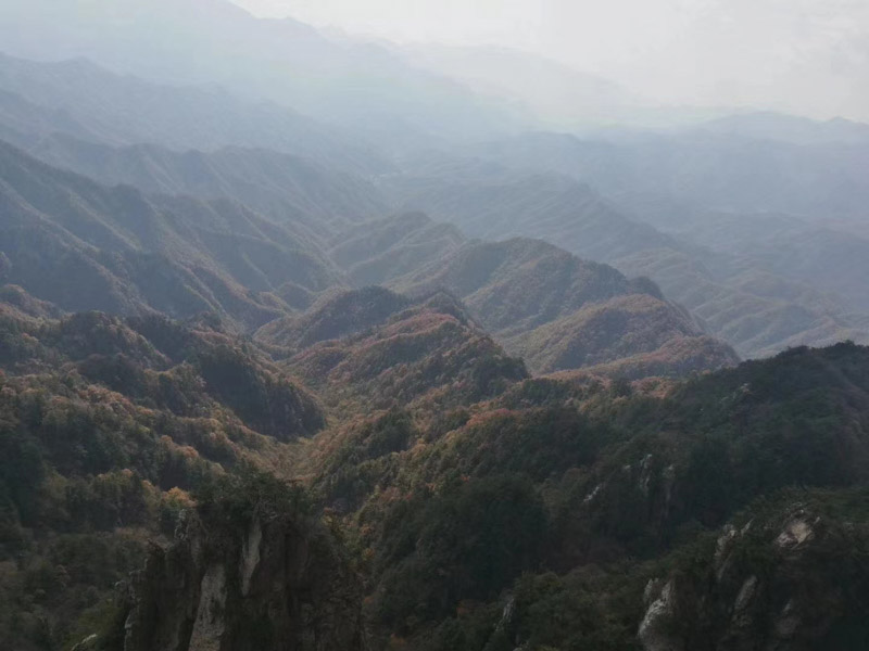 如何區分遺產與家庭共有財產？聽聽深圳遺產律師的說法