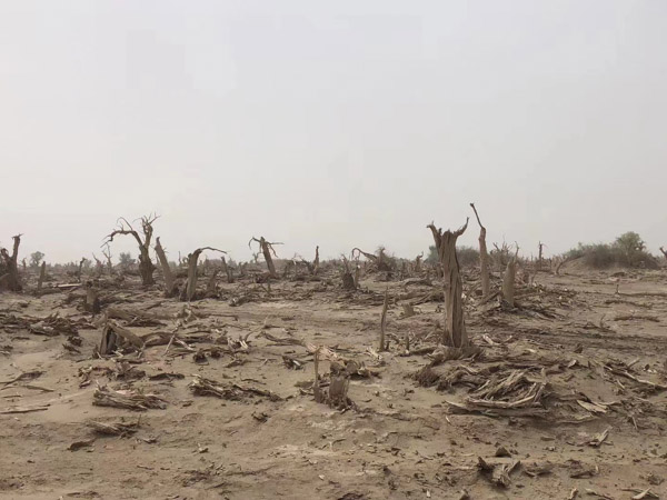 拆遷方以違章建筑為由強制拆遷怎么辦？深圳律師為您解答